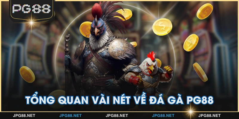 Tổng quan vài nét về đá gà PG88