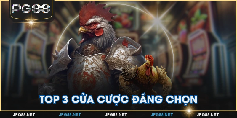 Top 3 cửa cược đáng chọn